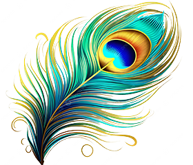 Peacock feather
